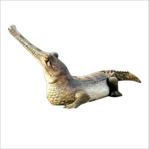 FRP मगरमच्छ प्रतिमा
