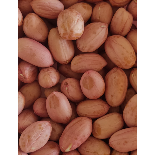 Organic Groundnut Seeds