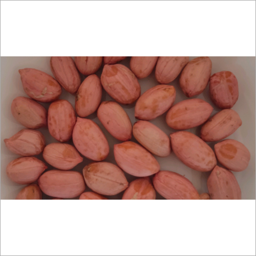 Organic Groundnut Seeds