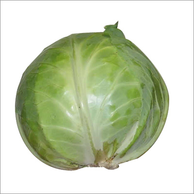 पत्तागोभी