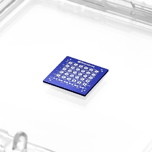 Gfet-s10 For Sensing Applications