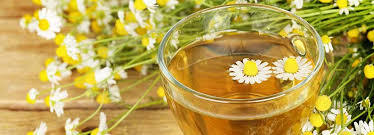 Exclusive Premium Chamomile Tea