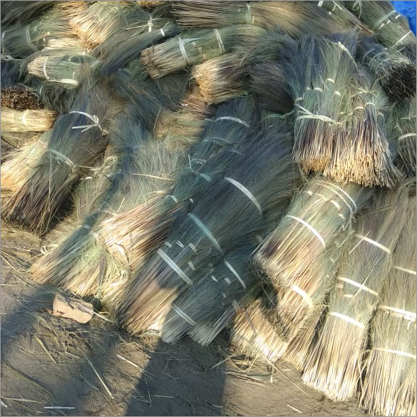 Premium Grass Broom - Natural Grass Material, 12x6 Inches Bristles, 48 Inches Wooden Handle, Brown Color | Acupressure Handle For Reduced Hand Strain, Fast And Efficient Sweeping