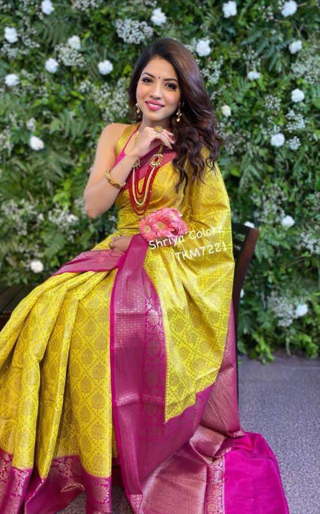 Multi Colour Ladies Pure Silk Saree