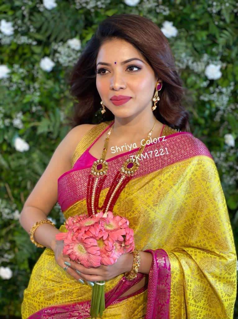 Multi Colour Ladies Pure Silk Saree