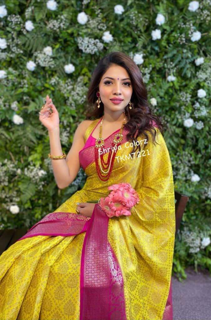 Multi Colour Ladies Pure Silk Saree