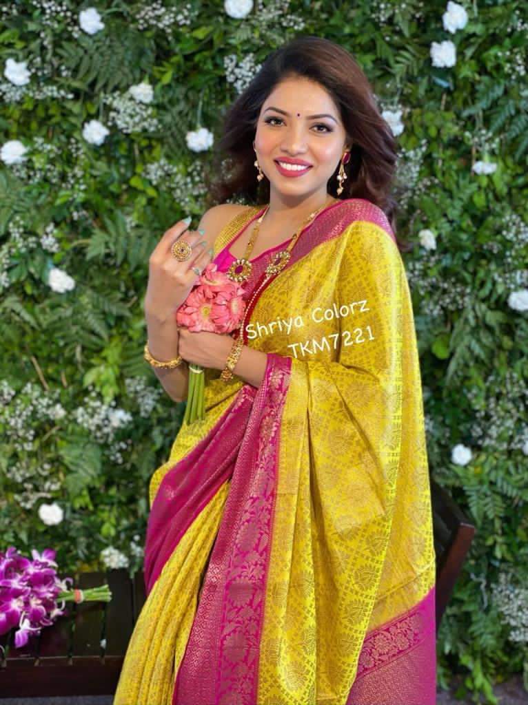 Multi Colour Ladies Pure Silk Saree