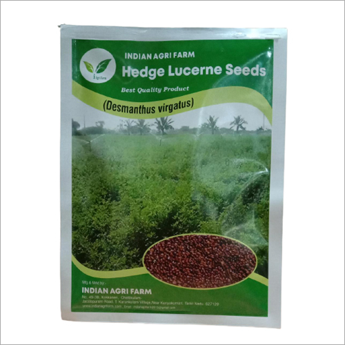 Hedge Lucerne Velimasal Seeds