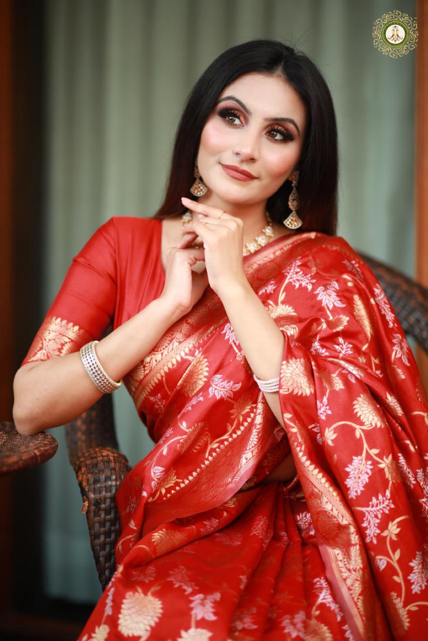 Ladies Fancy Saree - Multi Colour Banarasi Saree | Traditional Style For Rainy, Spring, Summer, And Winter Occasions - Bollywood Inspired