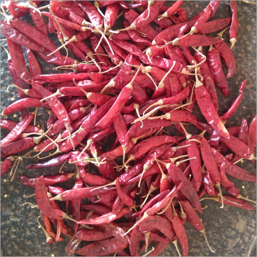 Guntur GT chilly