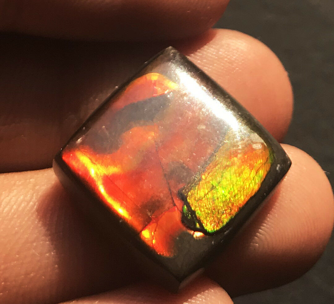 Ammolite Oval Cabochon Loose Gemstone - 18x18x5.6mm Natural Aaa Quality Vibrant Red Color Excellent Cut