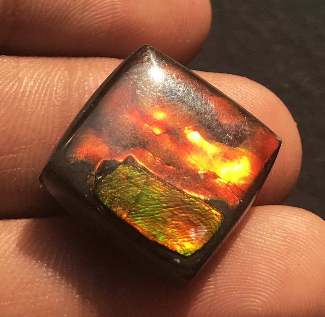 Ammolite Oval Cabochon Loose Gemstone - 18x18x5.6mm Natural Aaa Quality Vibrant Red Color Excellent Cut