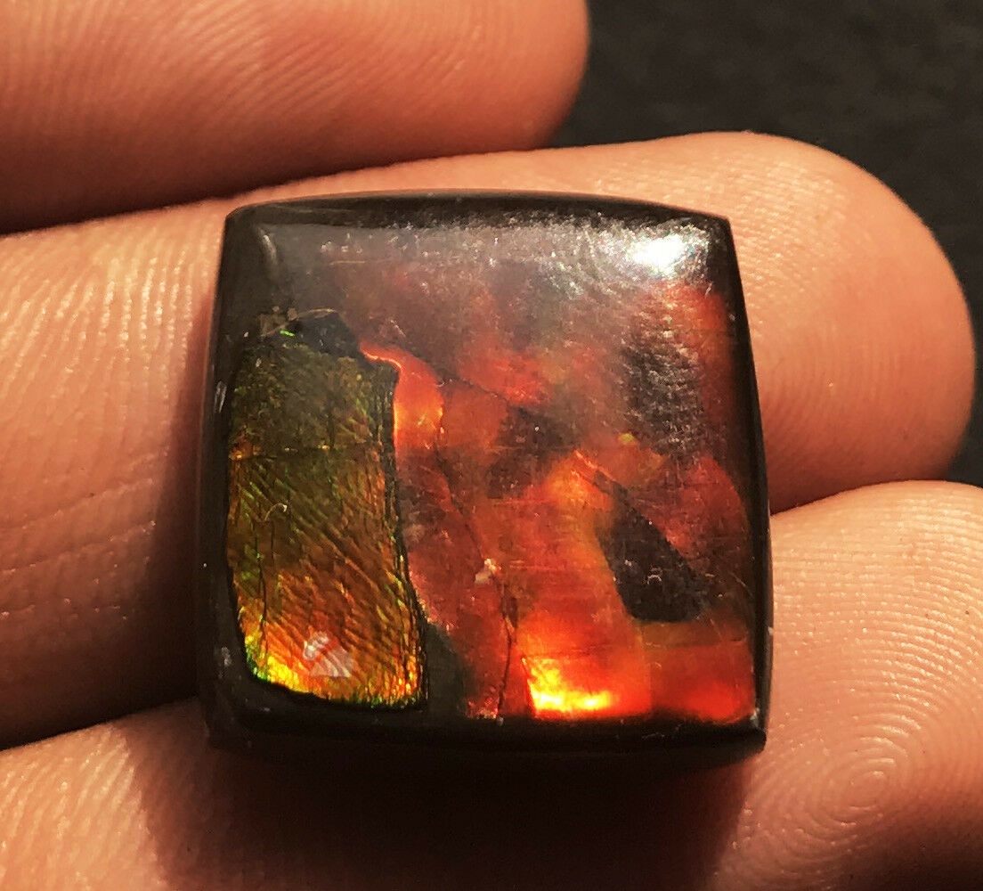 Ammolite Oval Cabochon Loose Gemstone - 18x18x5.6mm Natural Aaa Quality Vibrant Red Color Excellent Cut