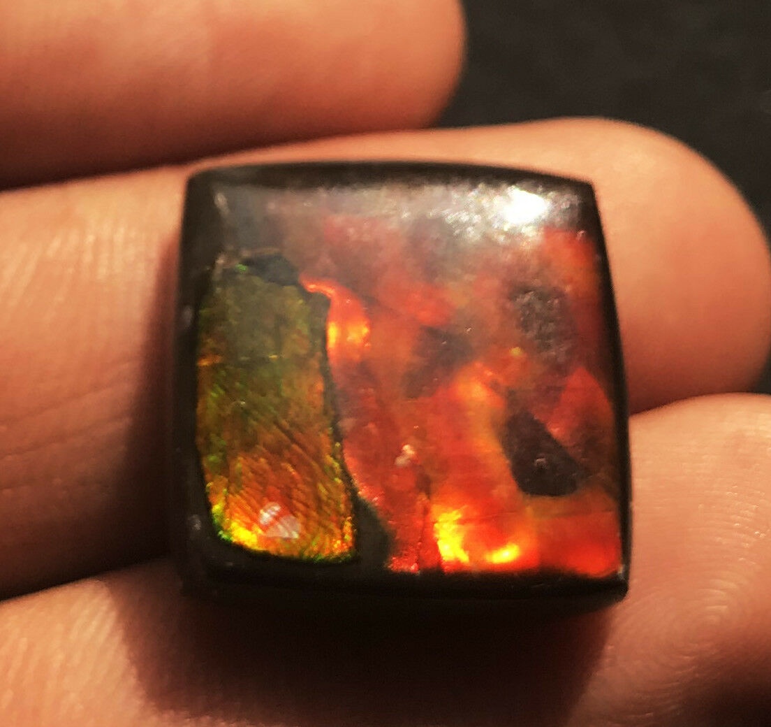 Ammolite Oval Cabochon Loose Gemstone - 18x18x5.6mm Natural Aaa Quality Vibrant Red Color Excellent Cut