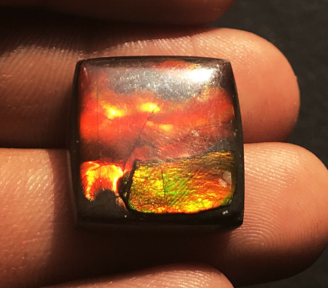 Ammolite Oval Cabochon Loose Gemstone - 18x18x5.6mm Natural Aaa Quality Vibrant Red Color Excellent Cut