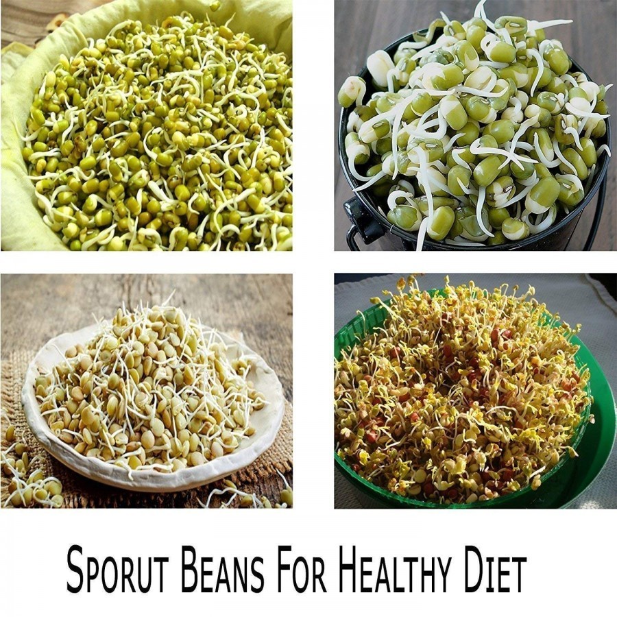 3 Container Layer Bowl