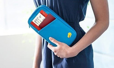 Passport Pouch