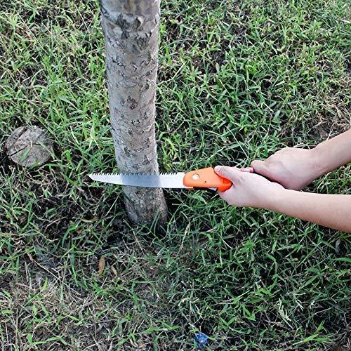Prune Chromium Karavti