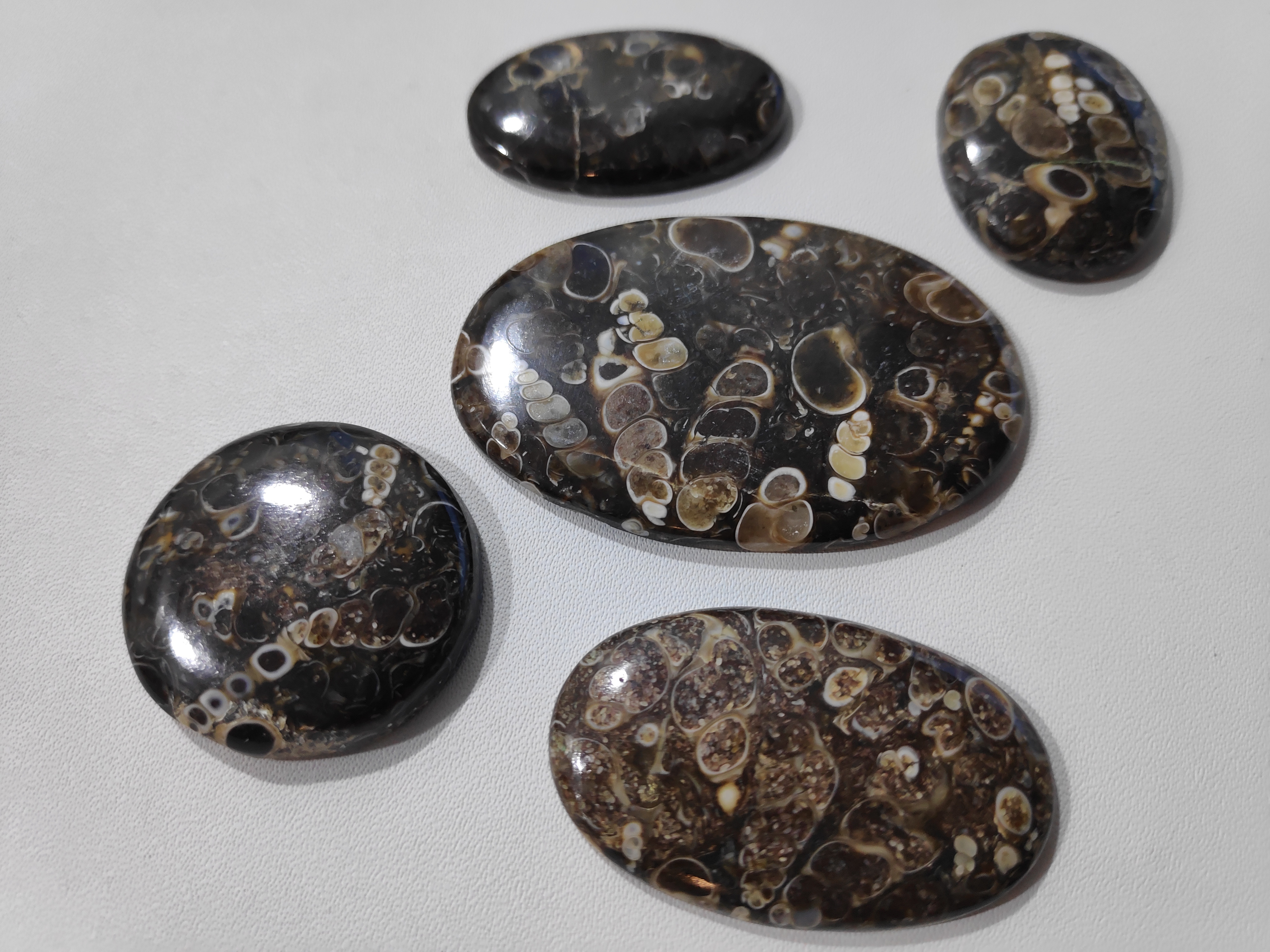 Turtela Caboshon Stone