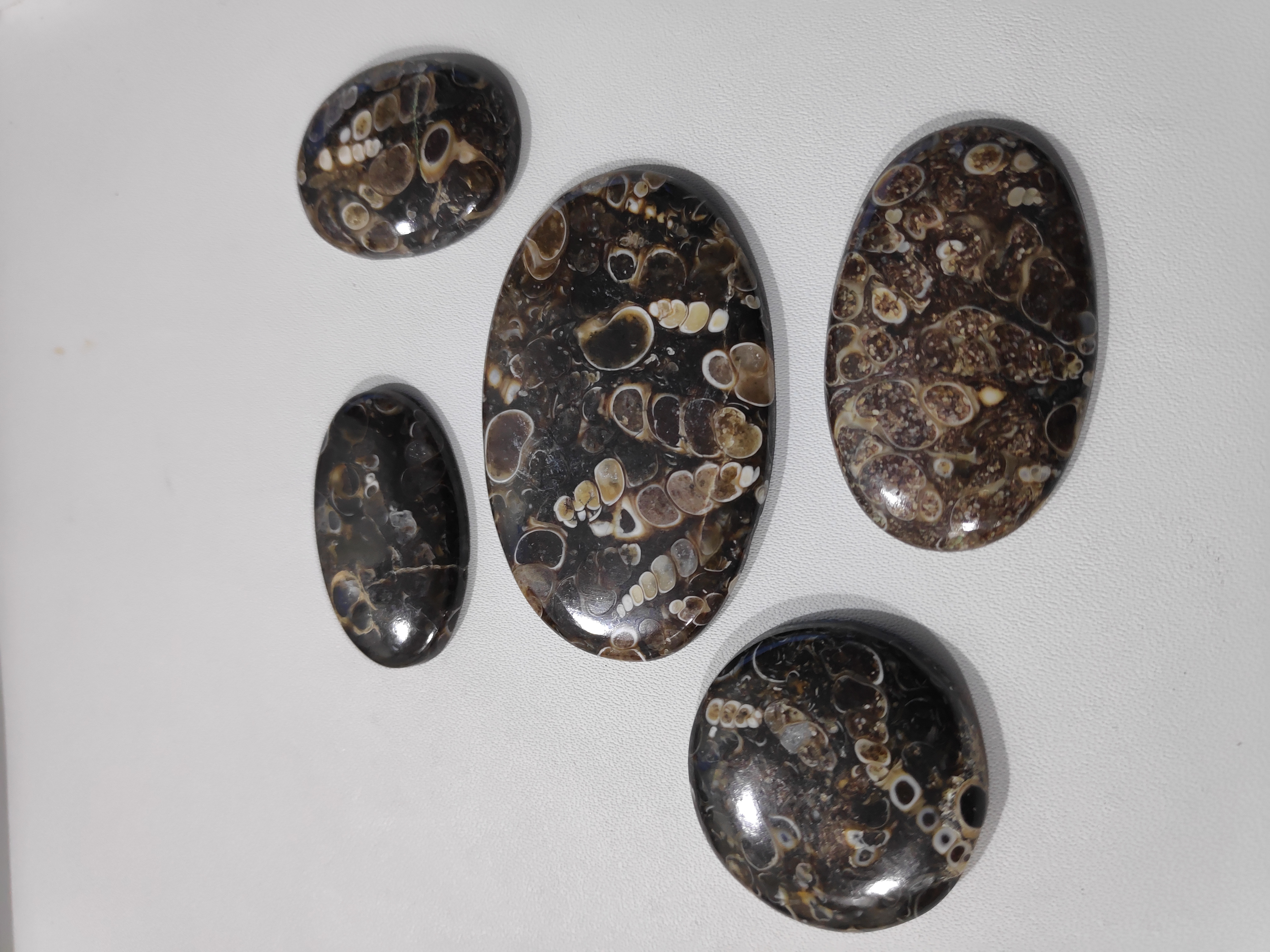 Turtela Caboshon Stone
