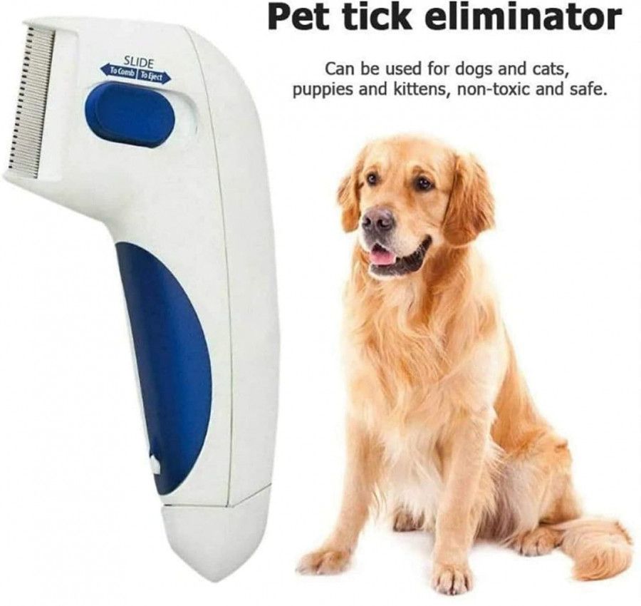 Flea Doctor