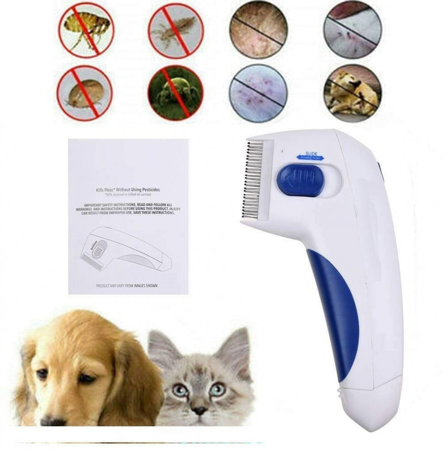 Flea Doctor