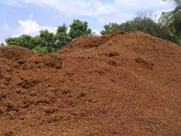 Coco Peat Powder