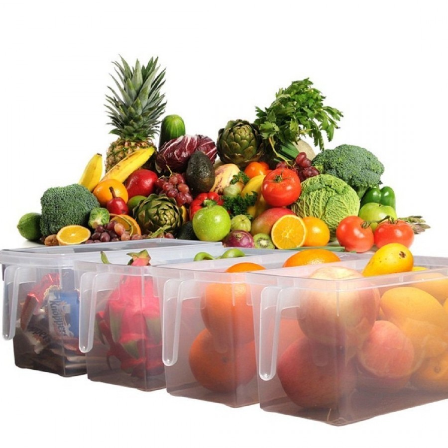 Handle Storage Refrigrator Box