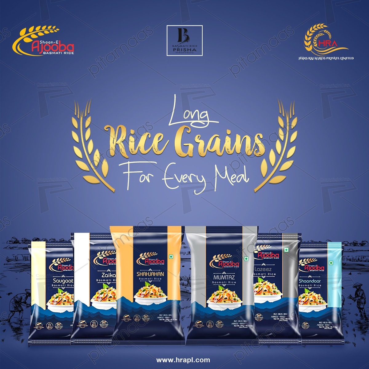 1121 Steam Basmati Rice - Extra Long Grain Pure Quality | High Nutritional Value Zero Admixture Easy Cooking Delightful Aroma