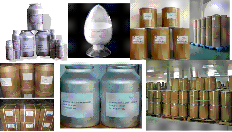 Dangerous Goods Services
