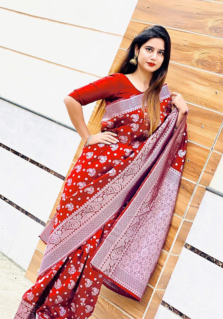 Multi Colour Saree New Launch