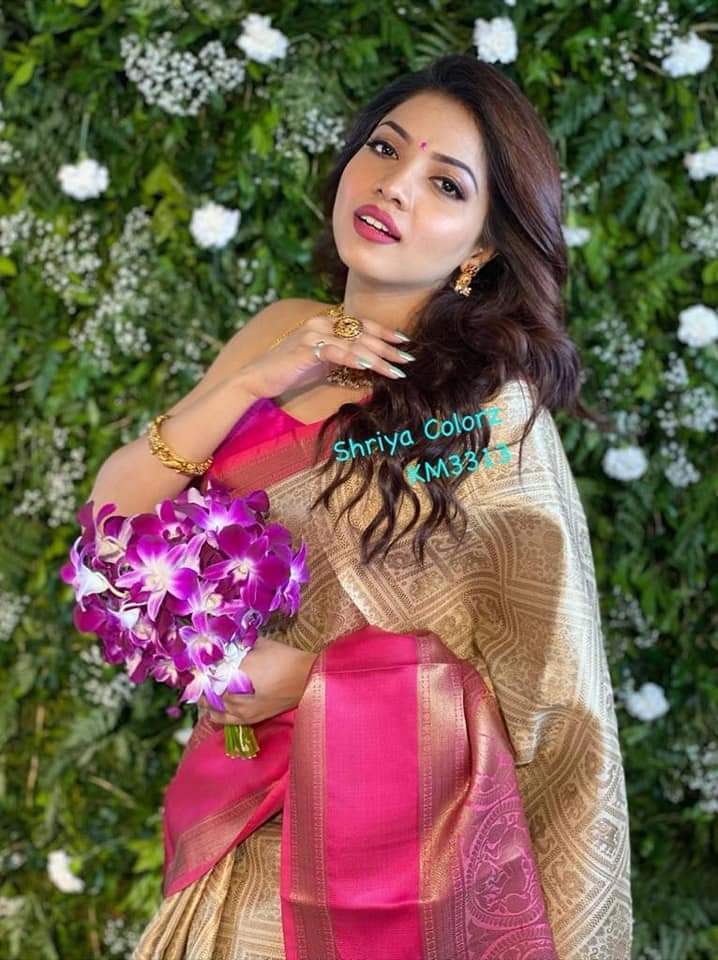 Multi Colour Saree New Launch