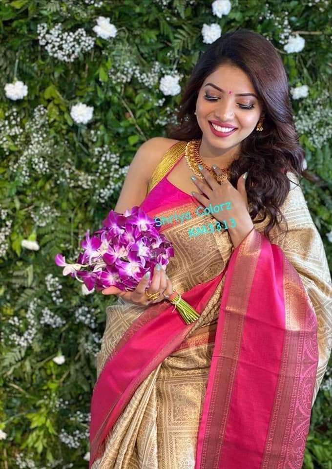 Multi Colour Saree New Launch