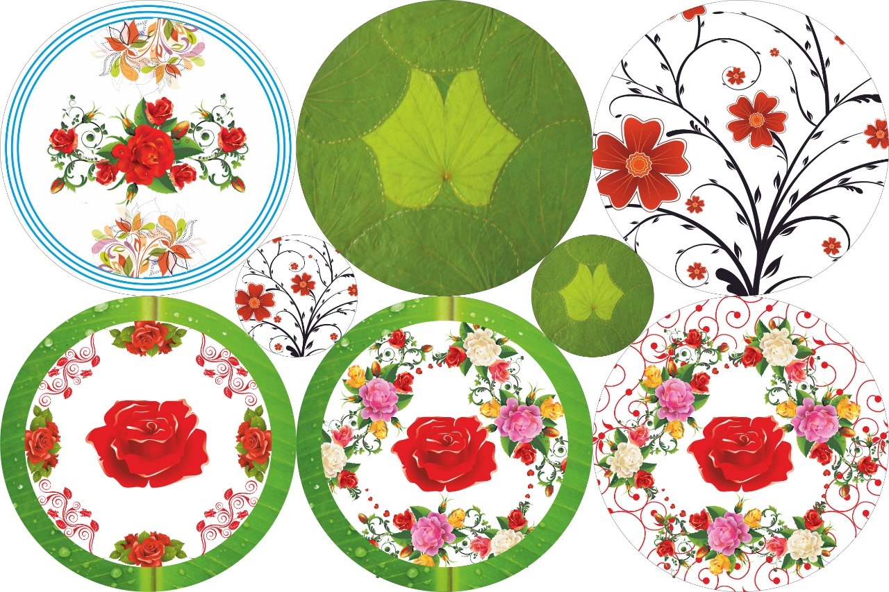 Paper Plate