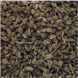 सौंफ (अजमो)