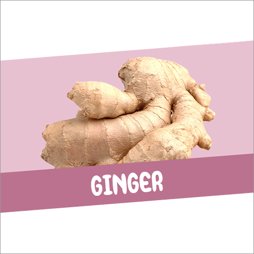 ताज़ा अदरक