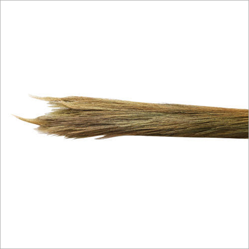 Cleaning Grass Floor Broom - Shillong Green Grass, 49 Inch | Steel Material For Effective And Efficient Floor Cleaning