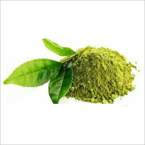 Tulsi Powder - Herbal Ingredients, Natural Immunity Booster for Respiratory Health | Treats Asthma, Bronchitis, Colds, and Flu