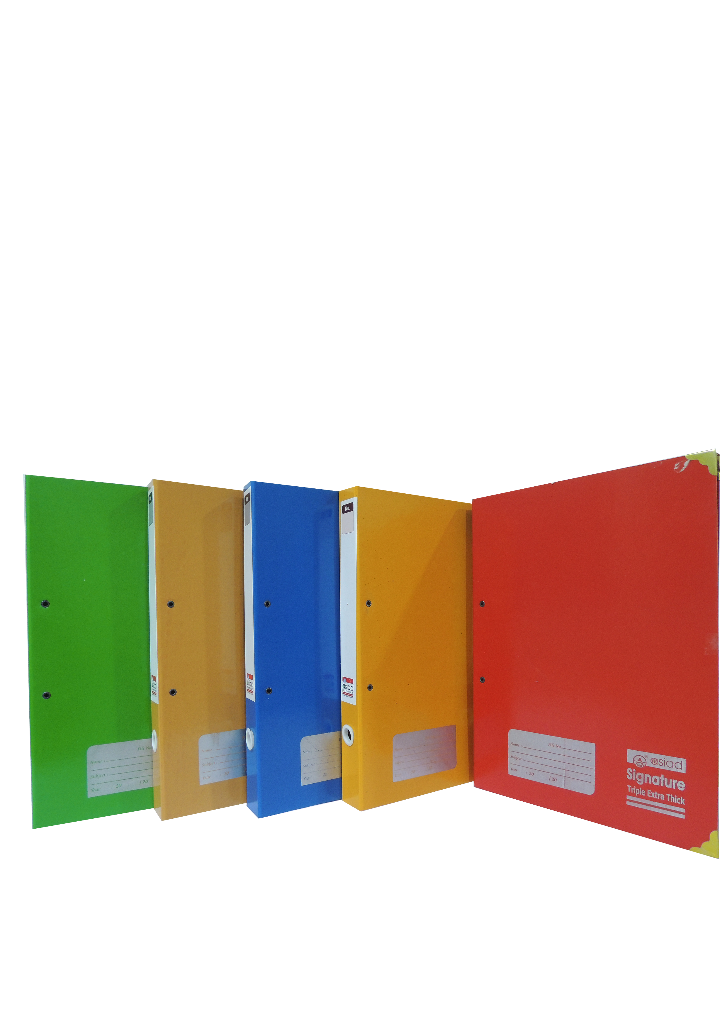 Executive File Color Laminated