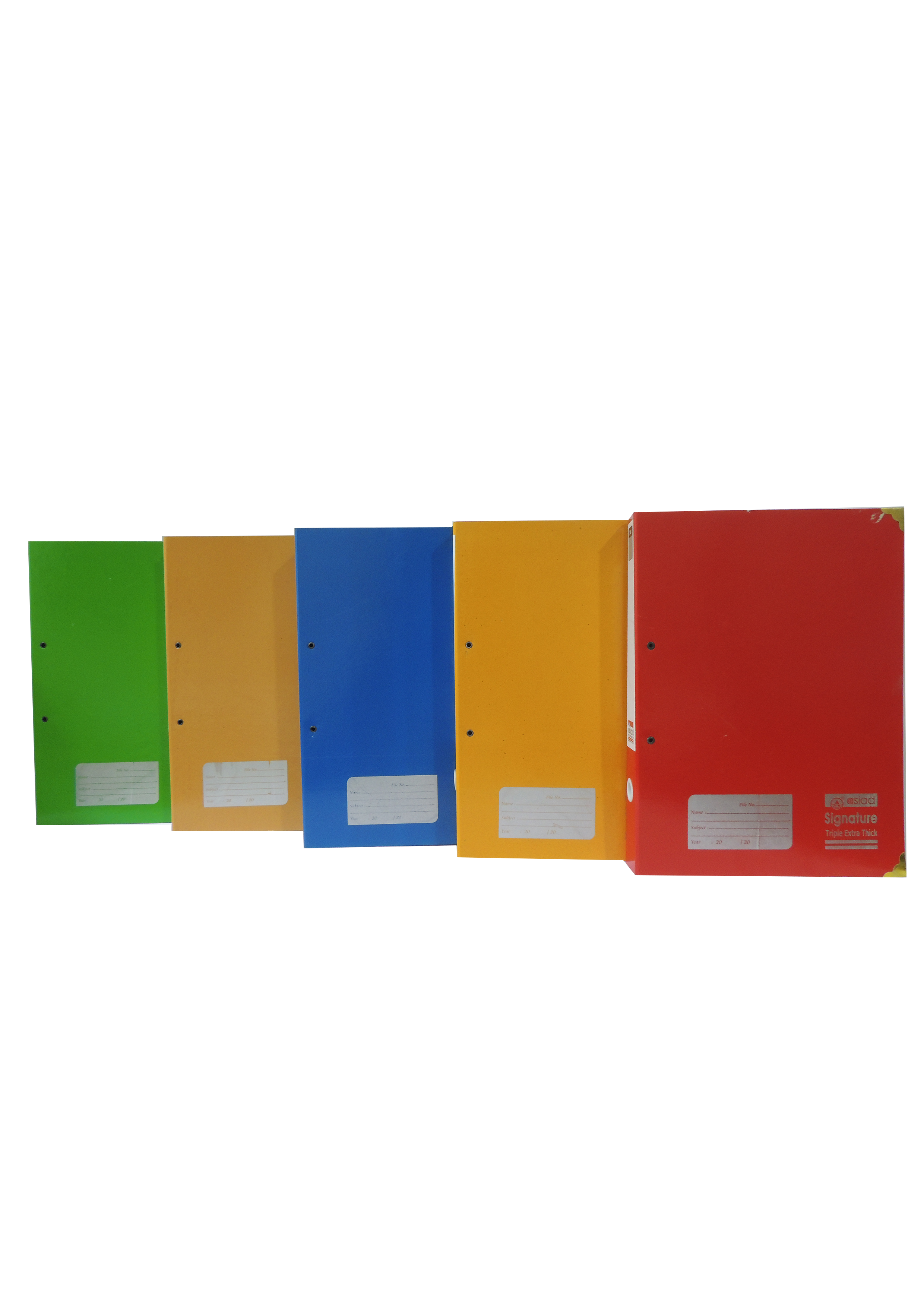 Executive File Color Laminated