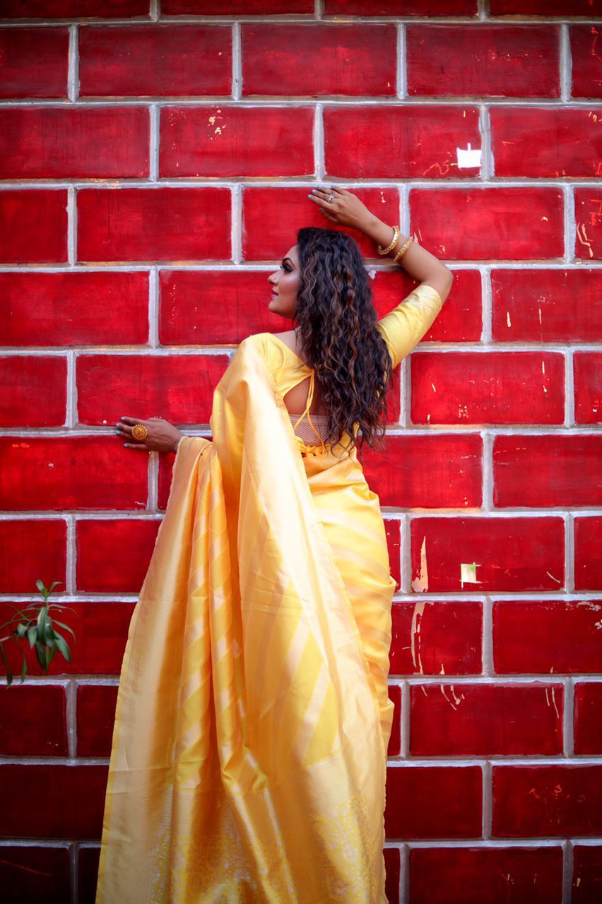 Multi Colour Saree New Launch