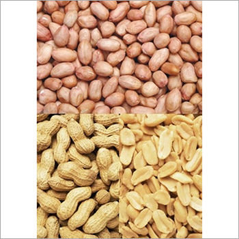 Organic Fresh Peanut Seeds