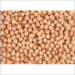 Fresh Chickpeas - Organic, High Purity Natural Shape | Versatile For Various Culinary Applications, Available In Custom Weight (Kg)