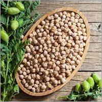 Fresh Chickpeas - Organic, High Purity Natural Shape | Versatile For Various Culinary Applications, Available In Custom Weight (Kg)
