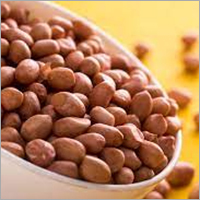 Organic Fresh Peanut Seeds