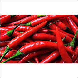 Fresh Red Chilli - Grade A Quality, Red Color | Ideal For Dry Storage, Perfect For Culinary Creations And Spicy Dishes