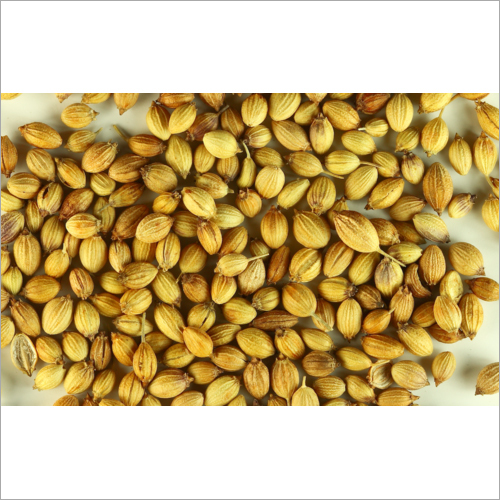 Natural Coriander Seed - Grade A, 1 Kilogram Or More, Store In Dry Place - Premium Quality Spice For Culinary Use