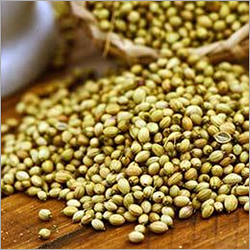 Natural Coriander Seed - Grade A, 1 Kilogram Or More, Store In Dry Place - Premium Quality Spice For Culinary Use