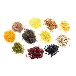All Pulses