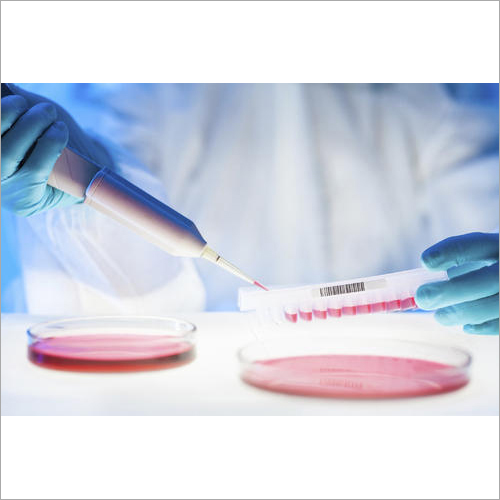 Microbiological Analysis Testing Services